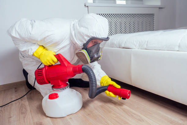 Professional Pest Control in Elm Creek, TX